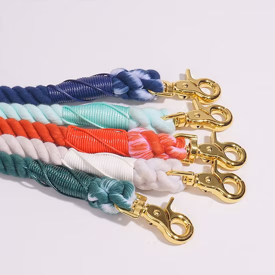 ペットアクセサリー 6 in 1 セット ネオプレン カスタムパターン印刷 ポリエステル 犬用ハーネス/首輪/ボウタイ/うんちバッグ/バンダナ/リード