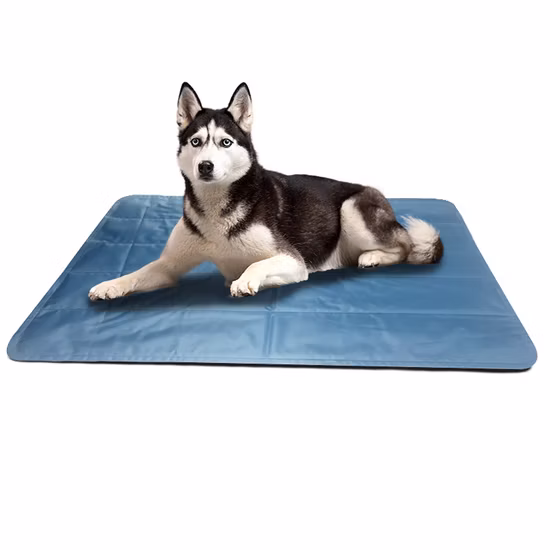 高品質防水傷つきにくい犬用冷却パッドクールジェルスリーピングマットソフト犬用アイスマットレスすべてのペットに適しています